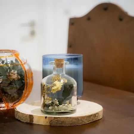 Apartment Santa Maria *